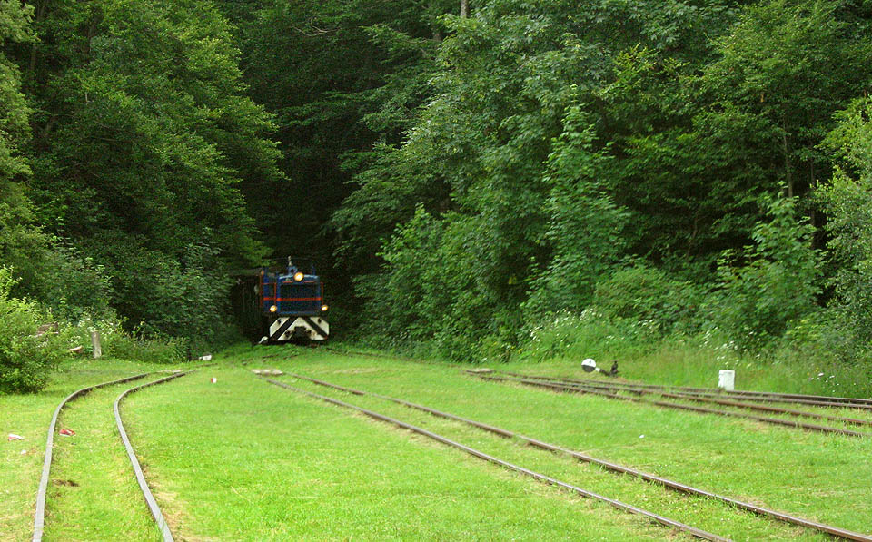 Turistický vlak vjíždí do stanice Balnica. Jízdní řád tu není, jen v nedaleké hájovně se lze doptat, v kolik hodin projíždí vlak. Pokud tu někdo čeká, vlak zastaví. Zatím vypadá lokomotiva majestátně.