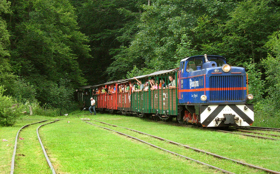 Jakmile se vlak zjeví v celé kráse, nadšení opadá. Turistický hluk, hudba z mobilů, fangličky, reklamy a kýč v okamžení zaplaší veškerou romantiku opuštěného karpatského nádraží.