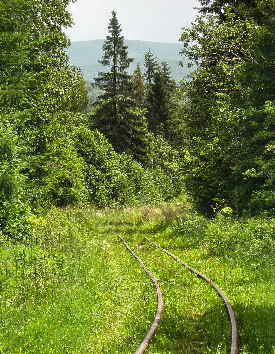 Dlouhé minuty zde připomíná civilizaci jen pokroucená úzká kolej. Okolo tratí šumí neporušené lesy.