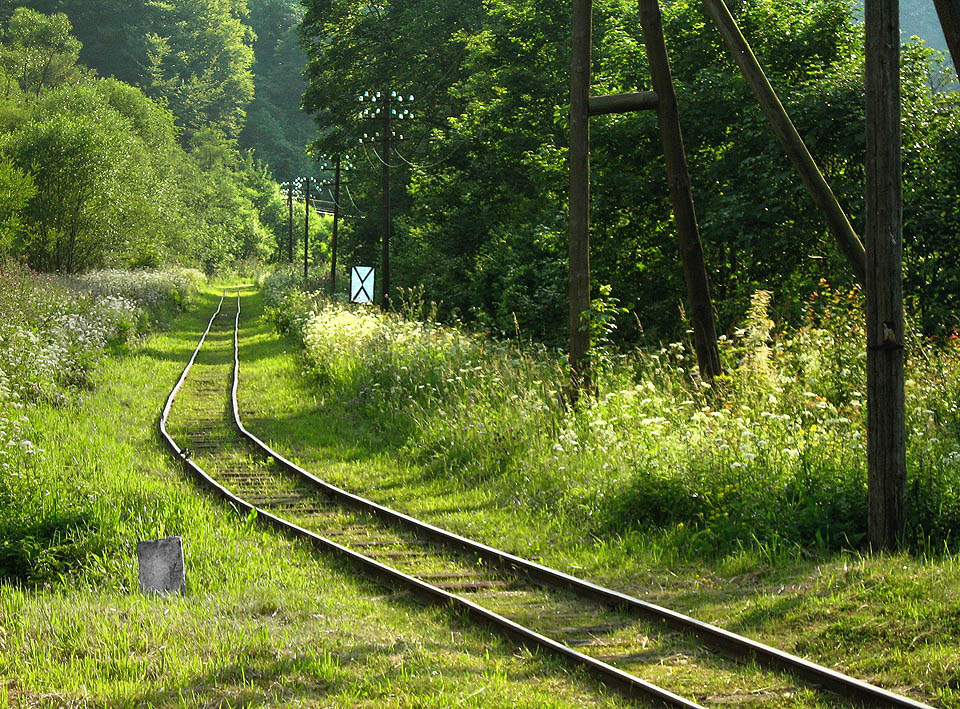 Na koleji sedí ptáčci.