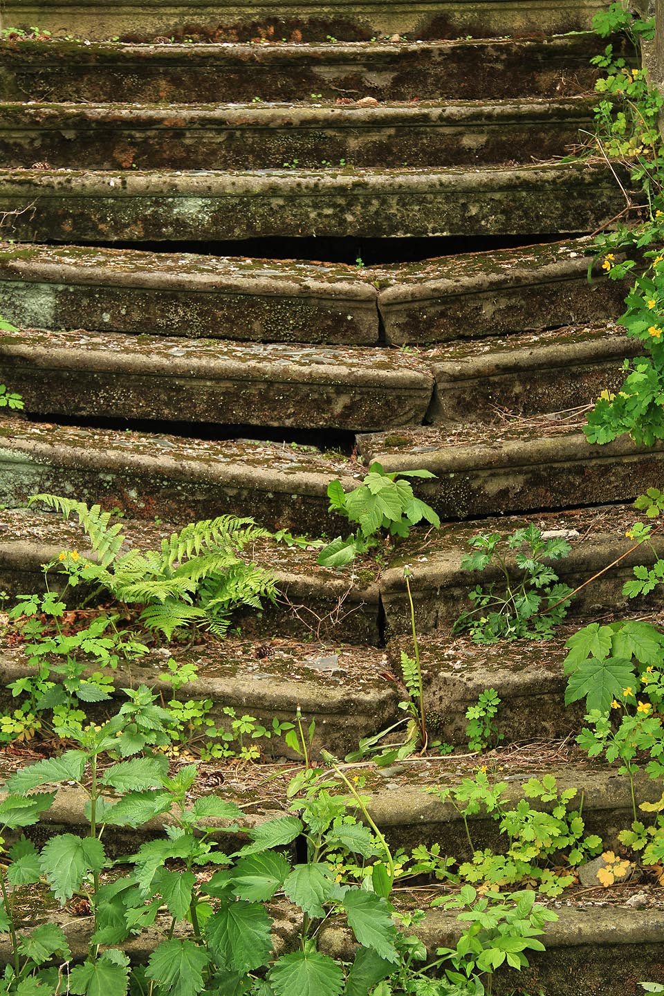 Kamenné stupně schodiště neunesly tíhu svého osudu a rozlomily se vejpůl.