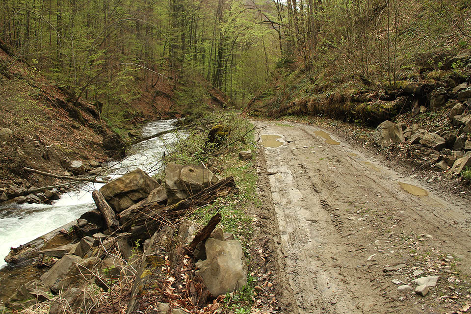 Nad Лисичовем už začíná být terén pro vlaky docela obtížný. S obtížemi si lze představit, jak procházela železnice třeba touto strmou soutěskou.