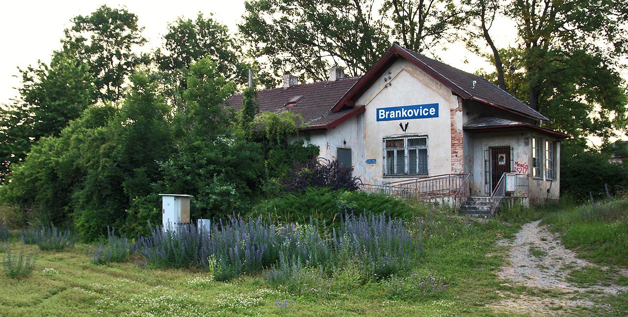 Brankovice (žzast)