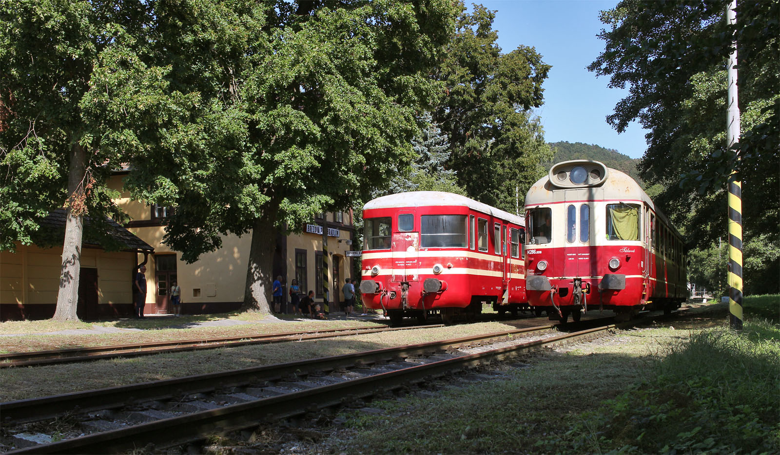 Od roku 2003 do stanice zajíždí vlaky jen příležitostně párkrát do roka. Dočká se jednou Brezová obnovených pravidelných vlaků?
