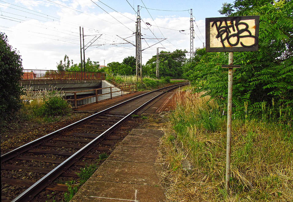 Pohled směrem k <a href=/Tema/Brno-%C4%8Cernovice%20odbo%C4%8Dka%20%28odbo%C4%8Dka%29>odbočce Brno-Černovice</a>. V křoví na obzoru je ukryt památník Vlárské dráhy.