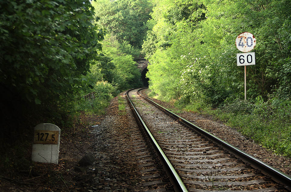 Jižní portál Budkovického tunelu se nachází necelé dva kilometry cesty po dráze od <a href="/Tema/Budkovice (žzast)">zastávky Budkovice</a>.