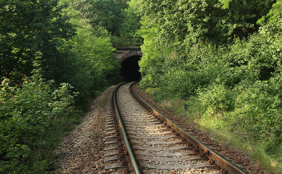 Zvlášť v létě je ve skalnatém údolí na strmém svahu nad řekou Rokytnou občas docela těsno. Vlaky se tu téměř prodírají džunglí.