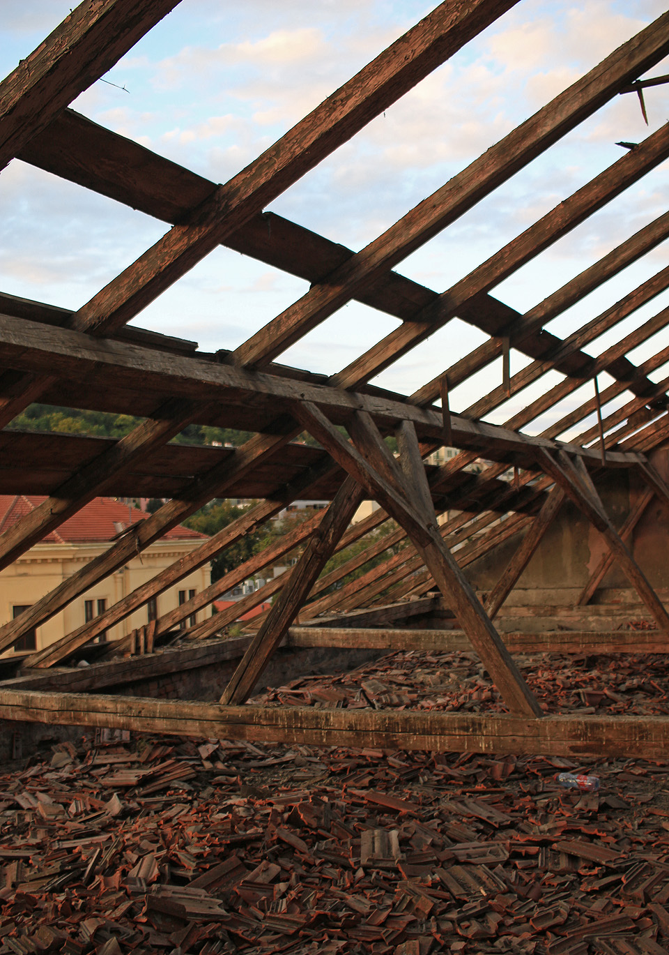 Odhalené krovy připomínají ohlodanou velrybí kostru, skrze níž je vidět nebe nad Brnem.