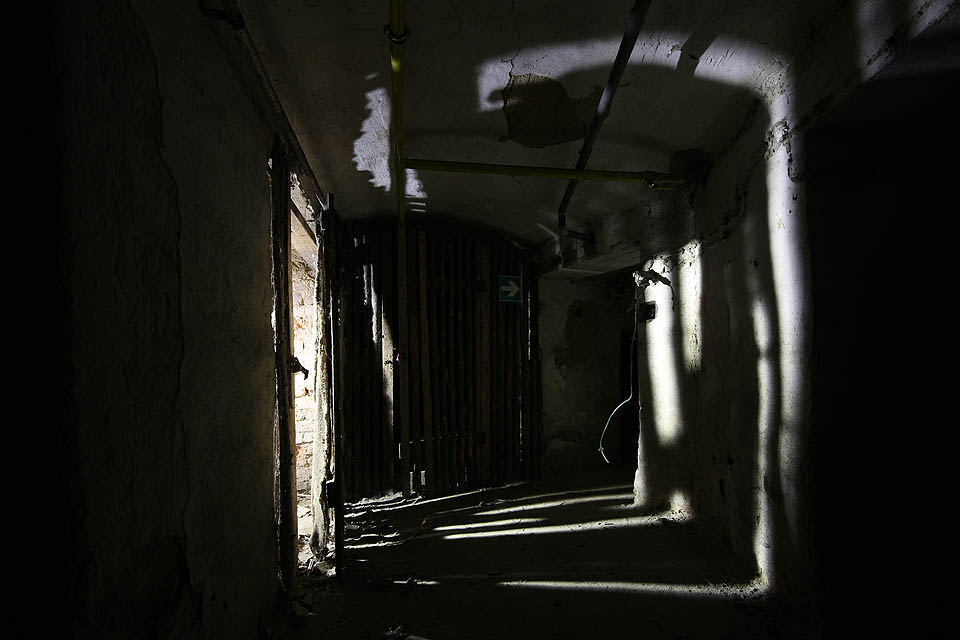 Přestože tu takřka nejsou holubi, je to ve sklepě strašidelné.