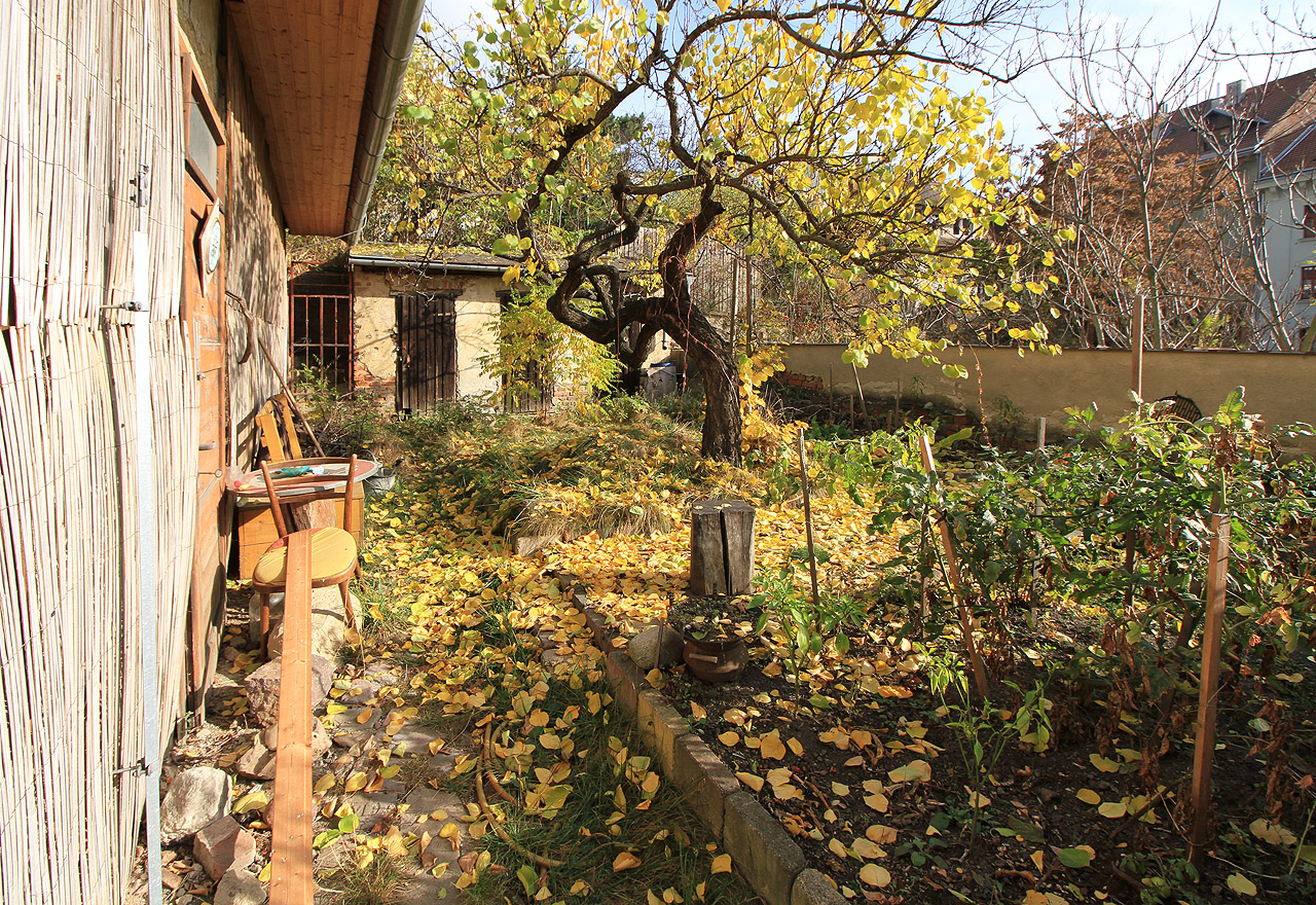 O úroveň výše, dokonce nad krovy dvorního traktu, překvapí druhý dvorek se zahrádkou a rozložitou hrušní.