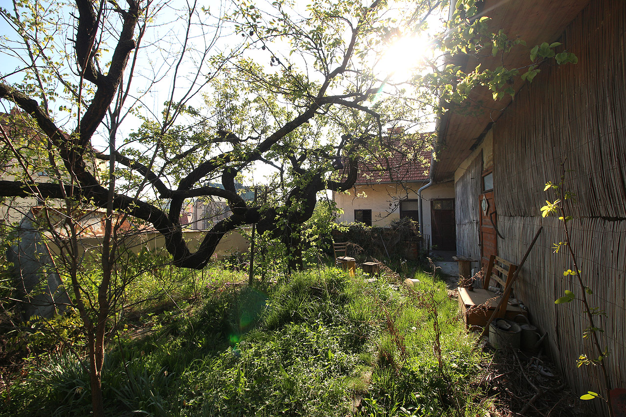 Těžko se hledají v širším centru Brna zapomenuté zahrady s takovým kouzlem jaké má ta na Úvoze 14!