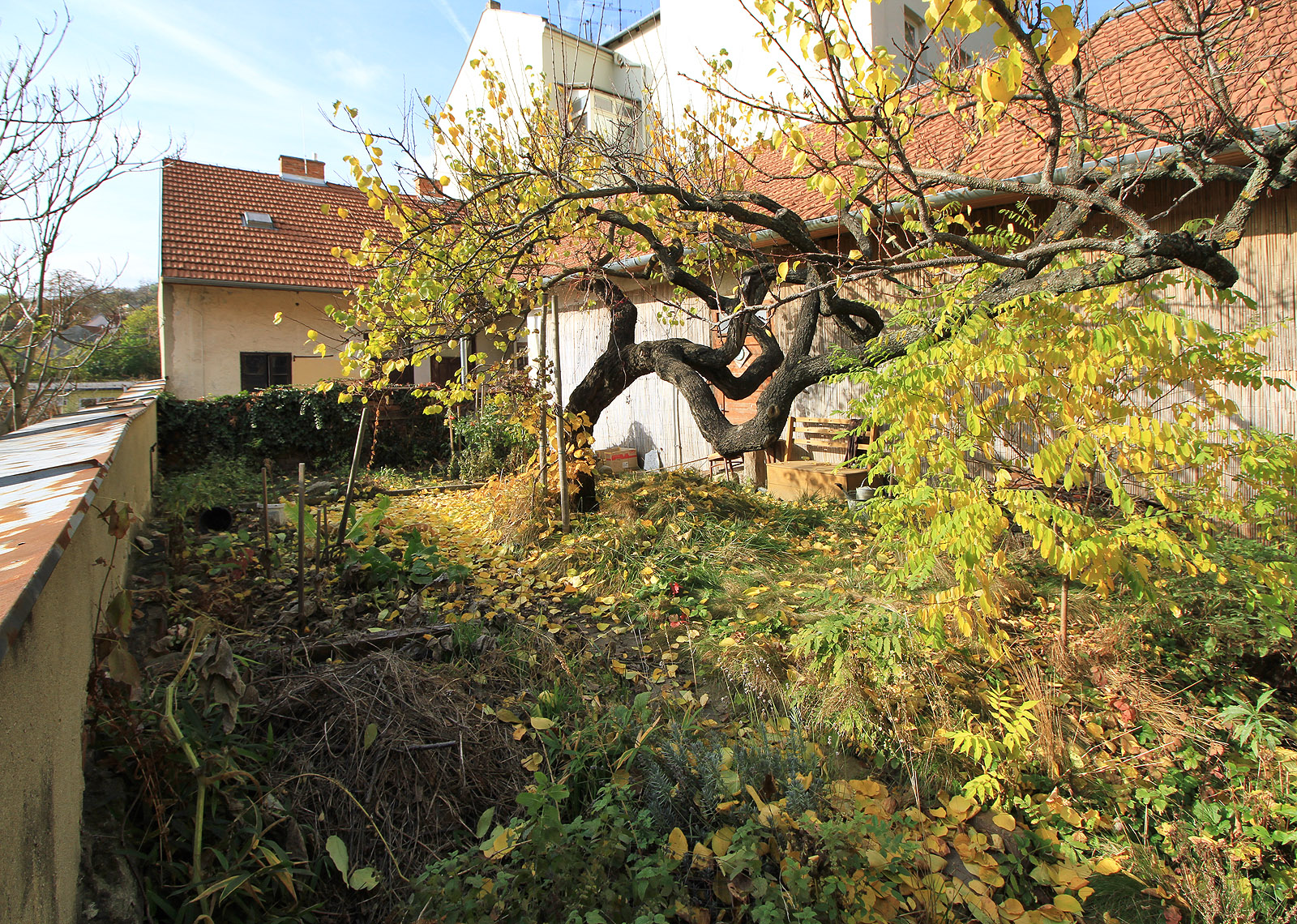 Uprostřed města v sousedství jedné z nejrušnějších ulic a přece je tu klid a nostalgické jemno.