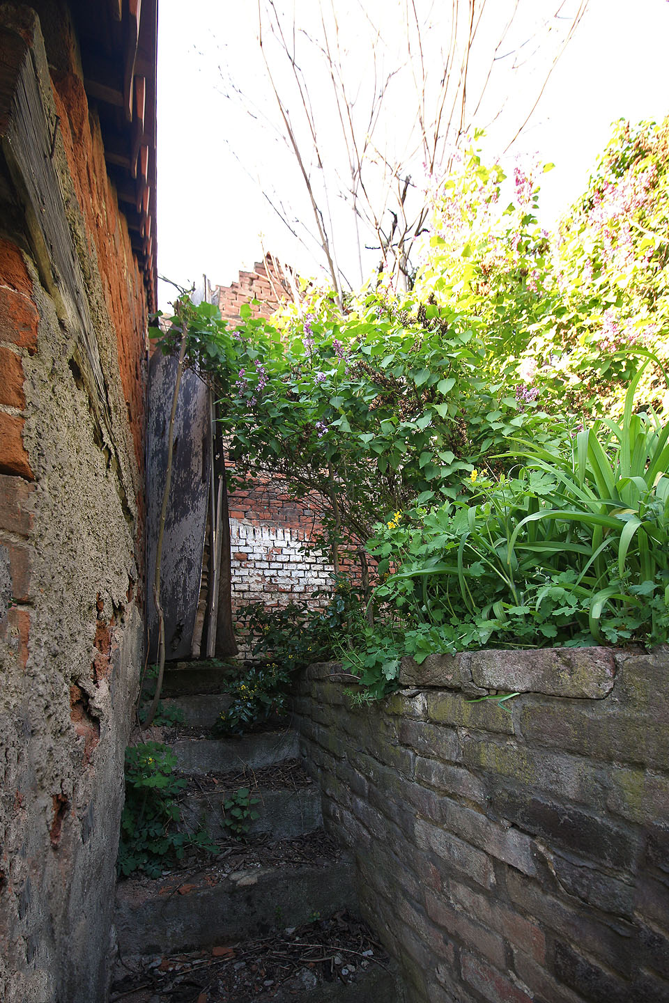 Schody do třetího dvorku ukytého mezi staletými zdmi. Chybí tu jen strom ginga.