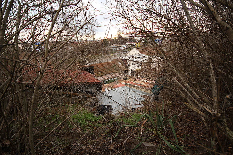 Průhled skrz křoví v poloopuštěné zahradě na svah nad zadním traktem kolonie Pod kopcem.