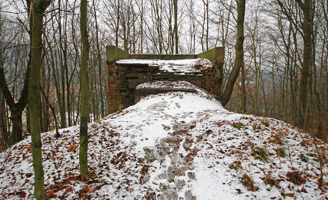 Zatímco podzemní části vodojemu jsou v dobrém stavu, nadzemní budova a zejména její střecha silně trpí povětrností i aktivitami adamovské mládeže.