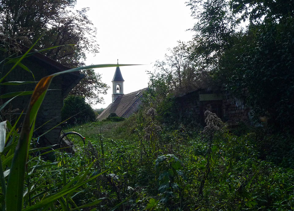 Na místě, kde končila vlečka a do vagónů se nakládaly stovky tun uhlí denně, dnes raší plnohodnotná džungle.