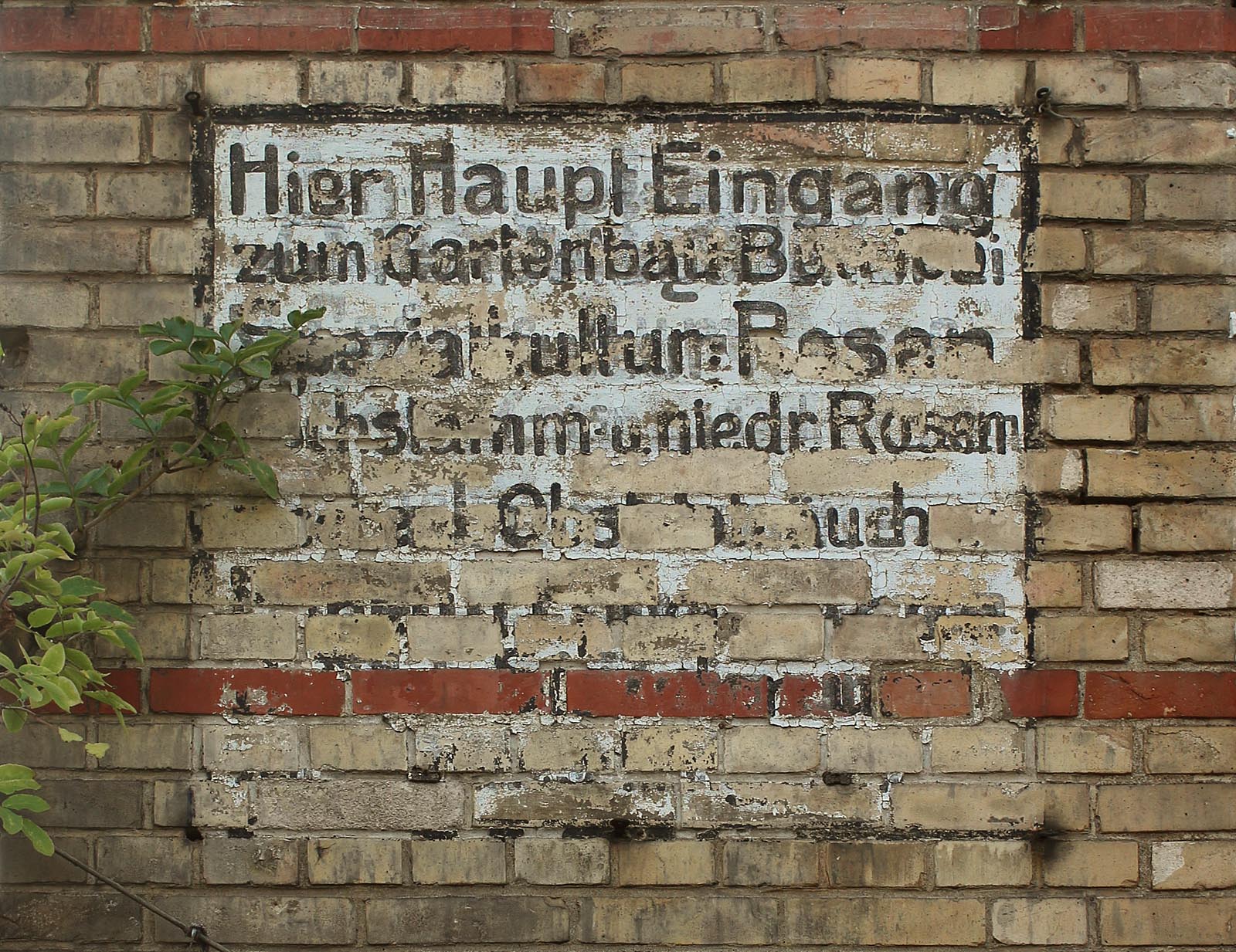 Nápis se ztrácí před očima jak v Ajvazově Druhém městě. Zřejmě informoval o tom, kudy se lze dostat do zahradnictví a co si tam lze koupit.