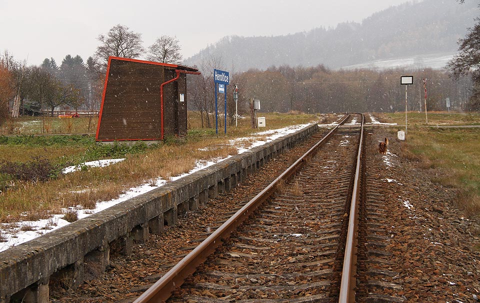 V Herolticích si osamělý cestující klidně může zanotovat píseň: „chtěl bych stát na nádraží, kde jen pes obchází, kde jízdní řády nejsou, nikomu však neschází“.