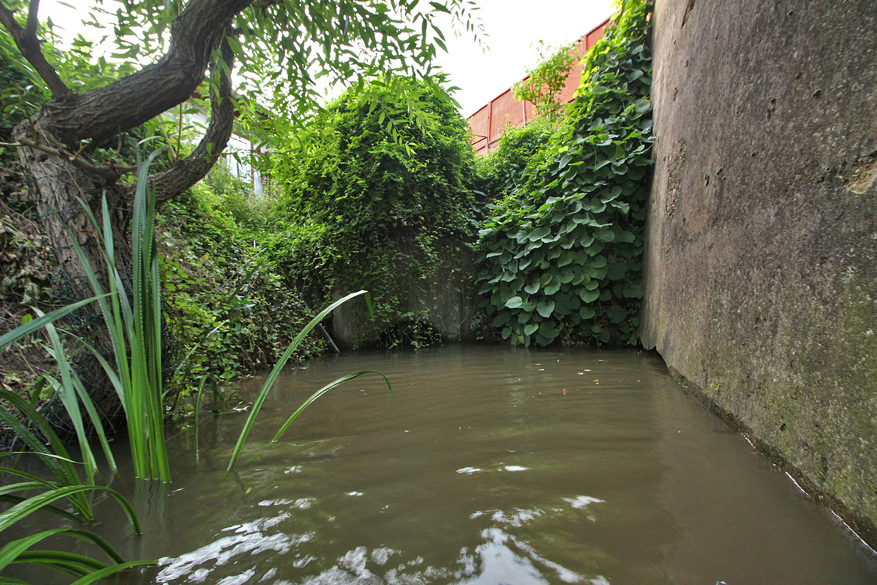 Z areálu textilky náhon doslova vyvěrá skrze hluboko položené potrubí v nepřístupné hloubi Druhého Brna mezi zahradami a zdí za továrnou.