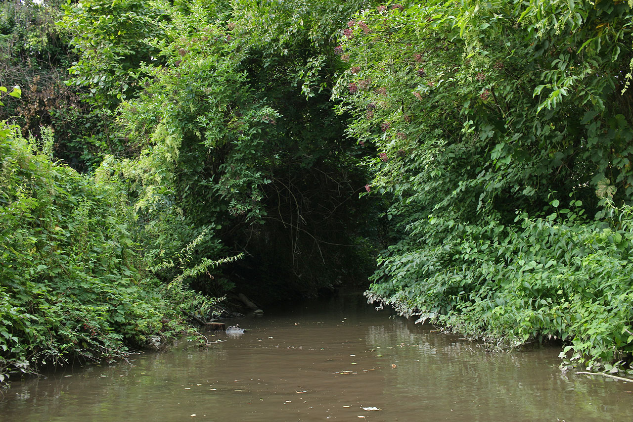Zde se náhon dostává z živého tunelu zpátky na světlo světa, aby spatřil hrůzu vznikající na místě někdejšího centra Husovic. Co by na to řekl Jan Kaloud, starosta obce z poslední třetiny 19. století?