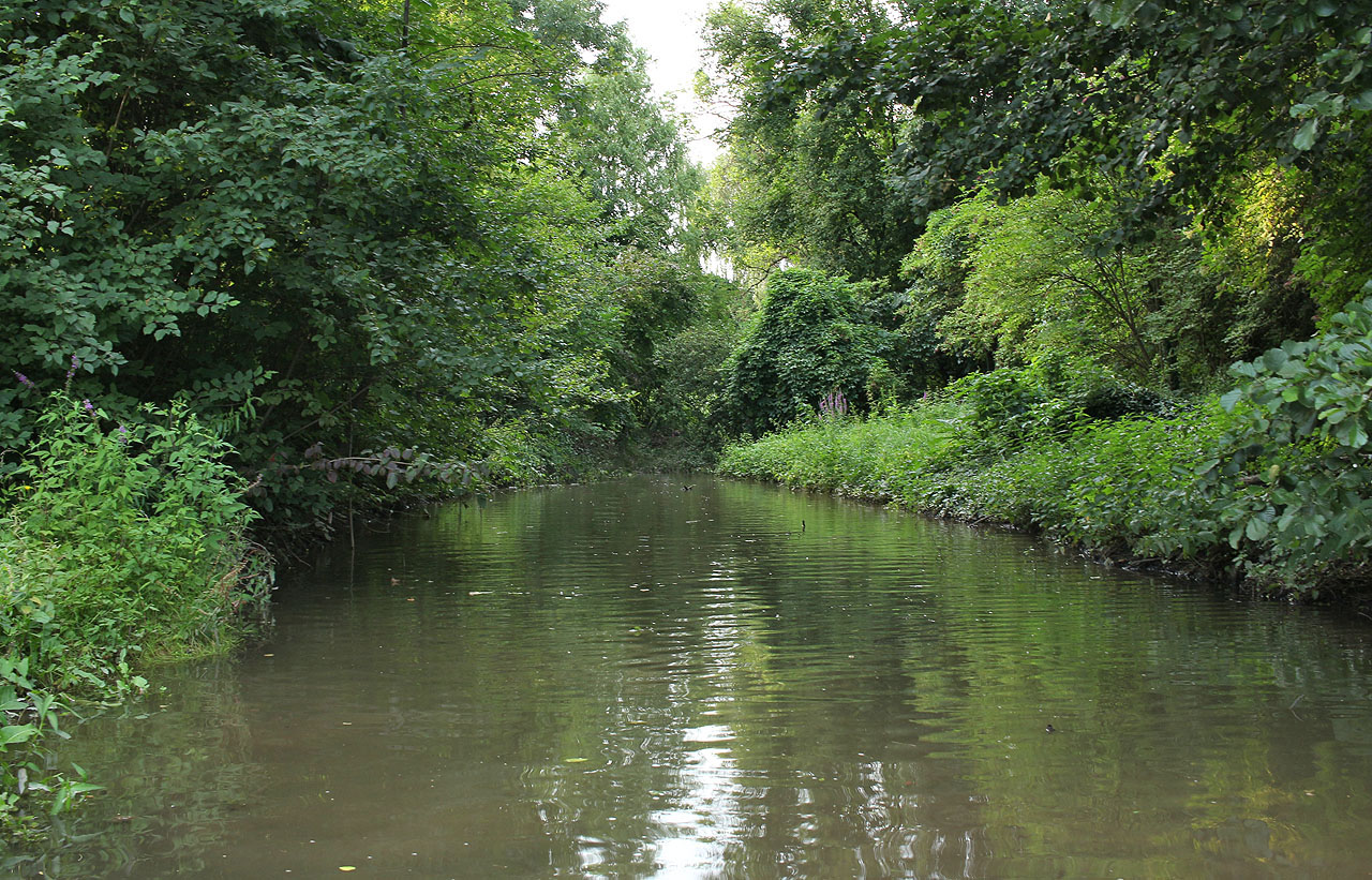 Závěrečný přímý úsek náhonu byl dobudován v místě původního koryta Svitavy při regulaci řeky na začátku 20. století.