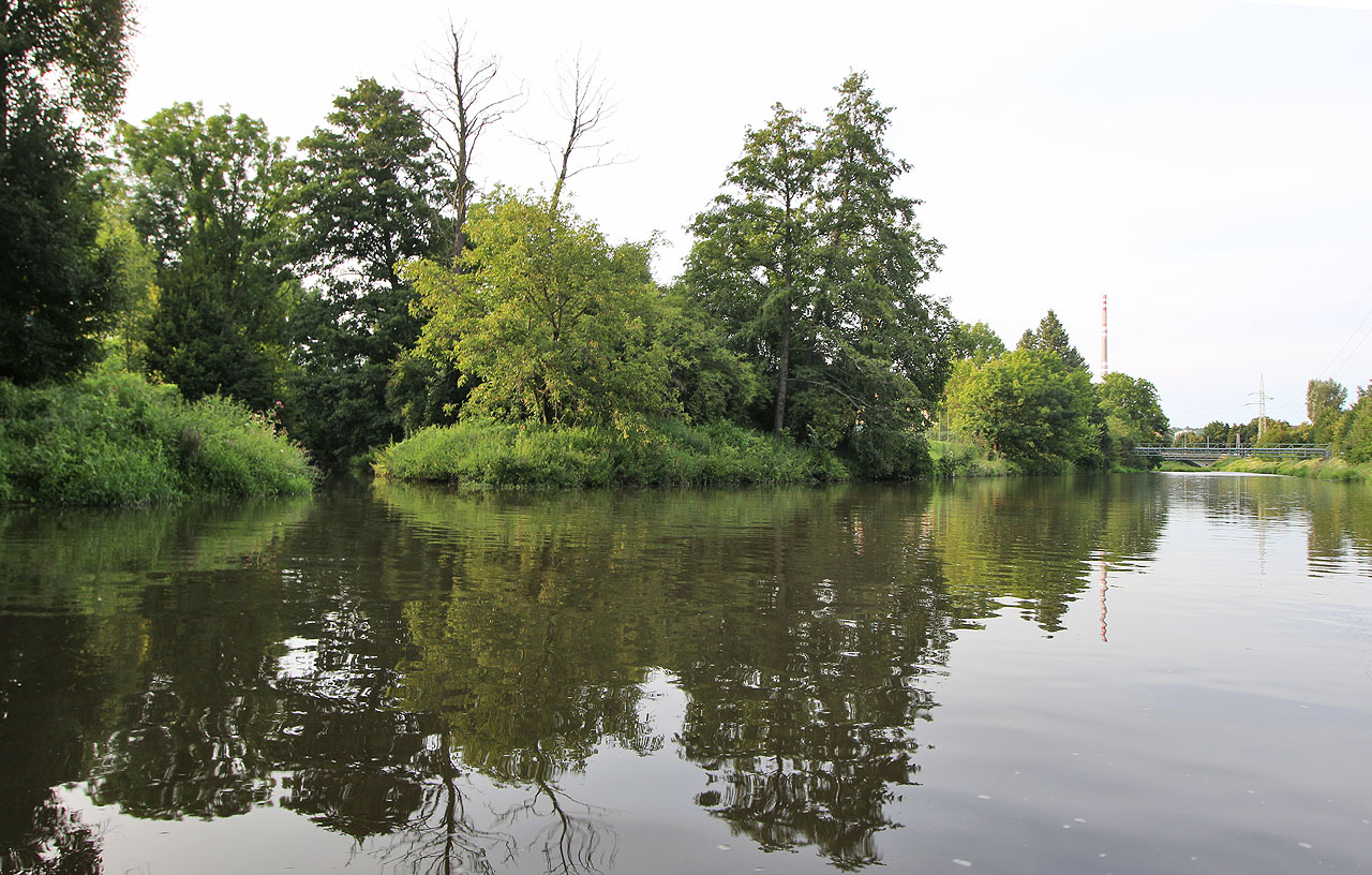 Soutok Husovického náhonu se Svitavou při pohledu od Husovického mostu. Úhledná špice ostrova vypadá staře, nicméně má jen něco málo přes sto let - původně se tento kousek země nacházel dokonce na opačném břehu řeky, která tu prošla zásadní regulací a posunem o několik desítek metrů na východ.