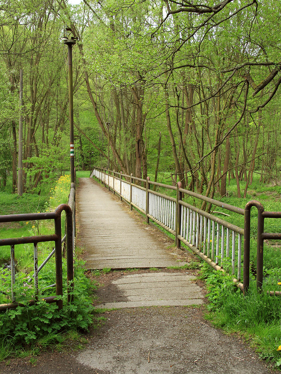 Do areálu Jánských Koupelí se lze dostat různě. Třeba pěšky přes lávku nad řekou Moravicí.