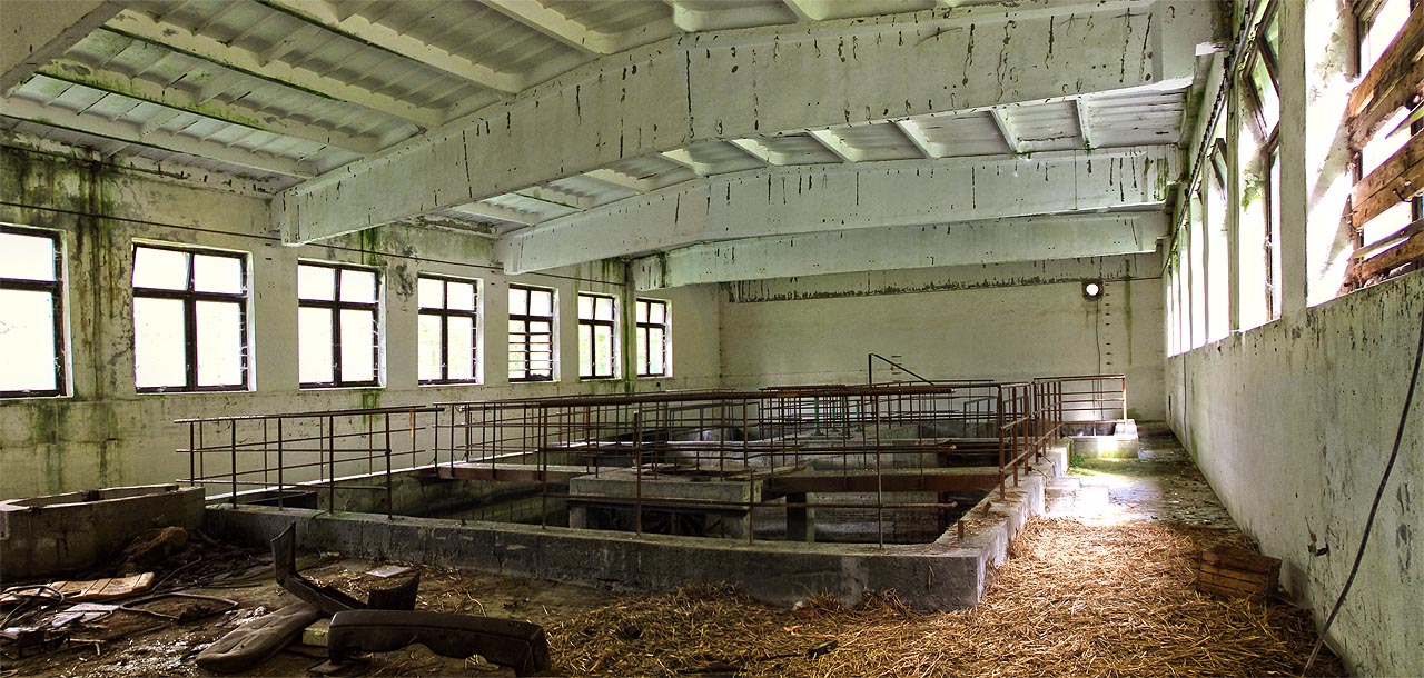 Kdo ví, kdy a proč se v moderním provozu čistírny objevila hromada sena.