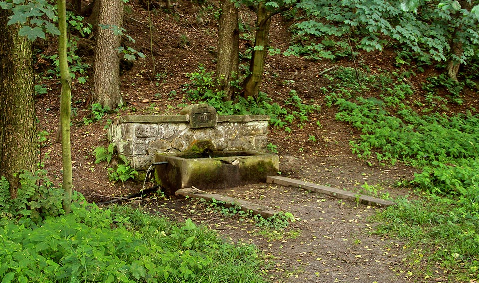 Co činí stanici naprosto unikátní, je vydatný horský pramen s dobrou vodou ve svahu za nádražní budovou.