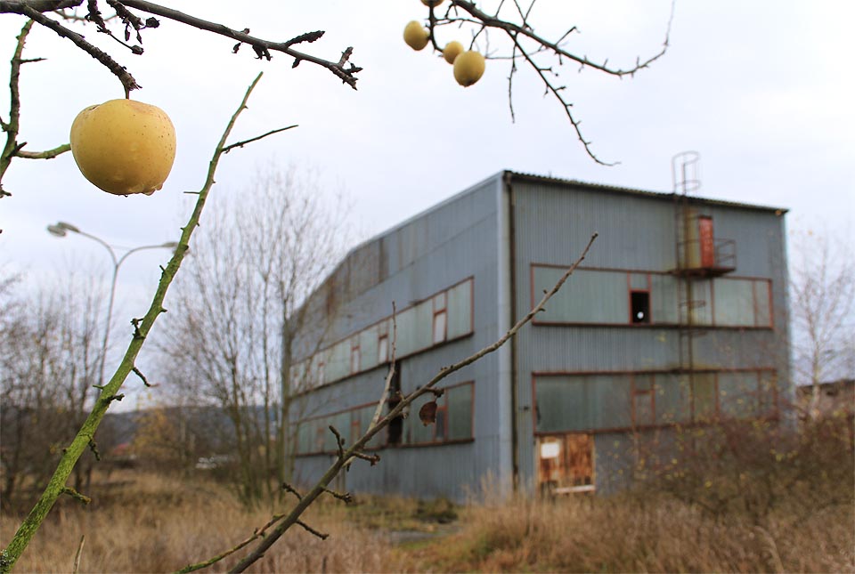 Vrcholí podzim a šebetovský dřevařský závod si brzy připíše další křížek na své poslední cestě.