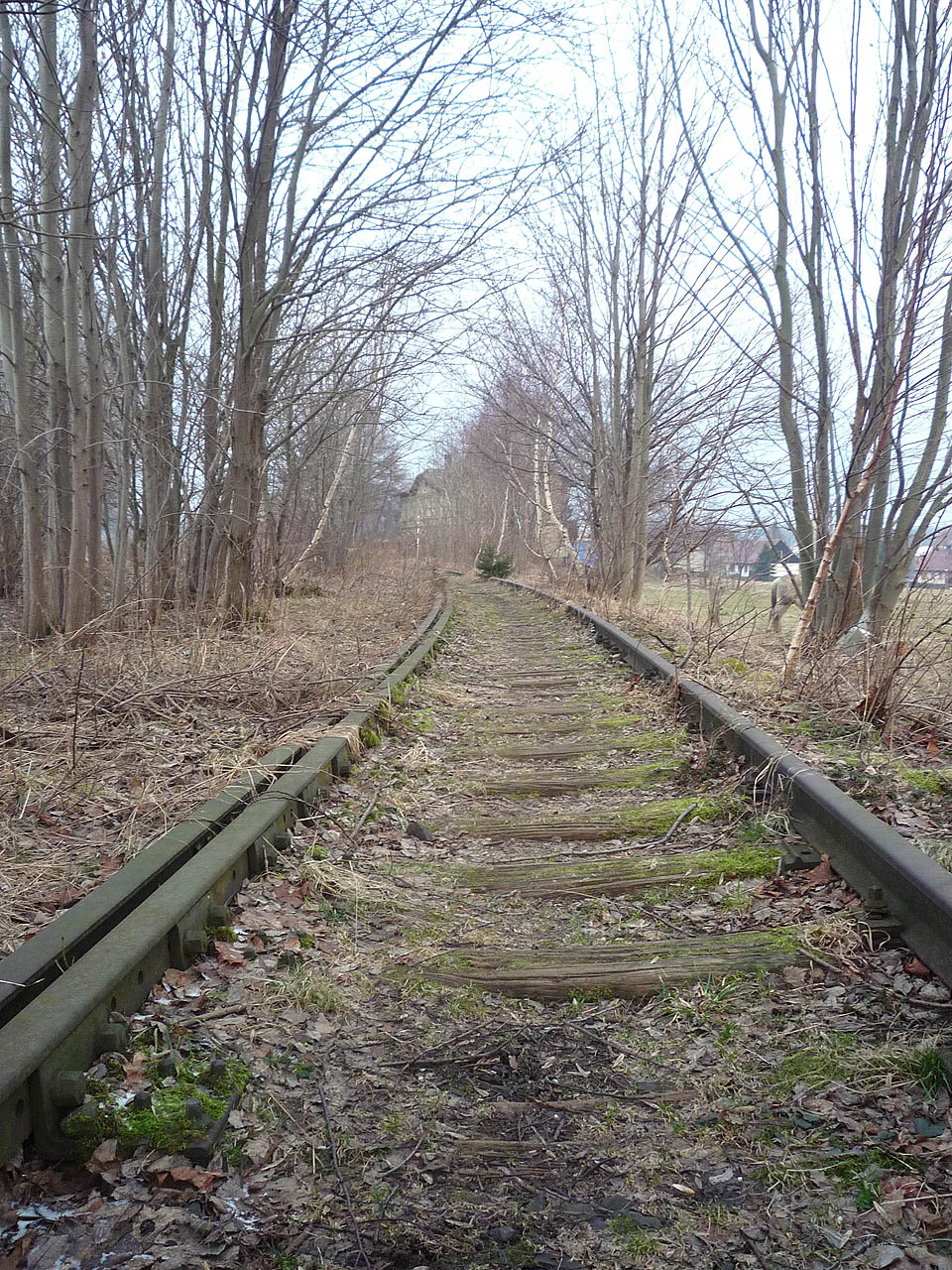 Naděje na obnovení provozu, o kterém se uvažovalo v roce 2015, zřejmě definitvně uvadly se stavbou cyklostezky na polské straně.