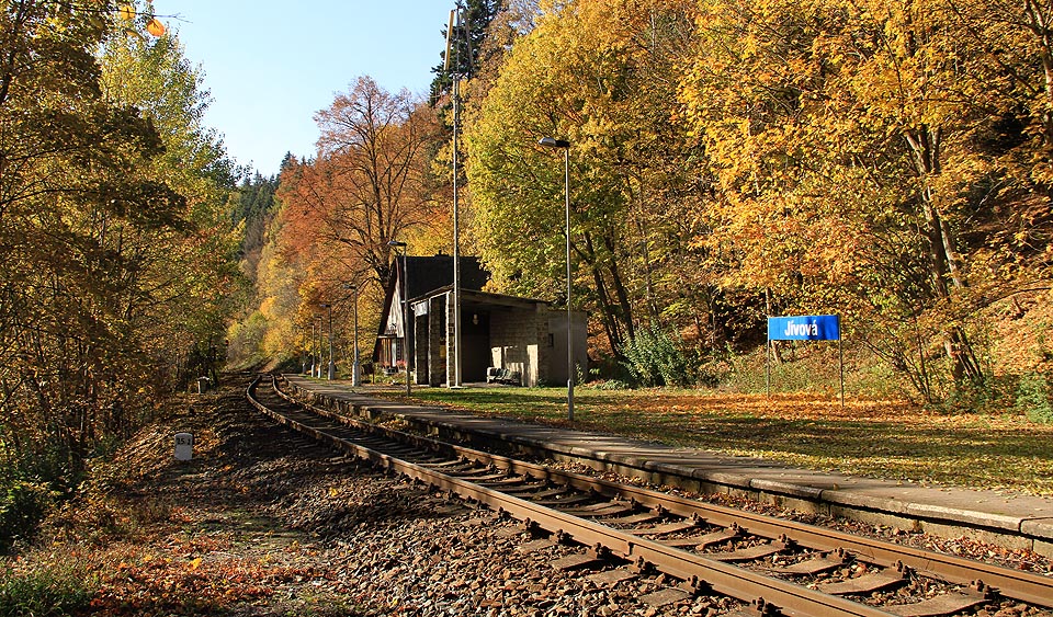Jívová (hláska a žzast)