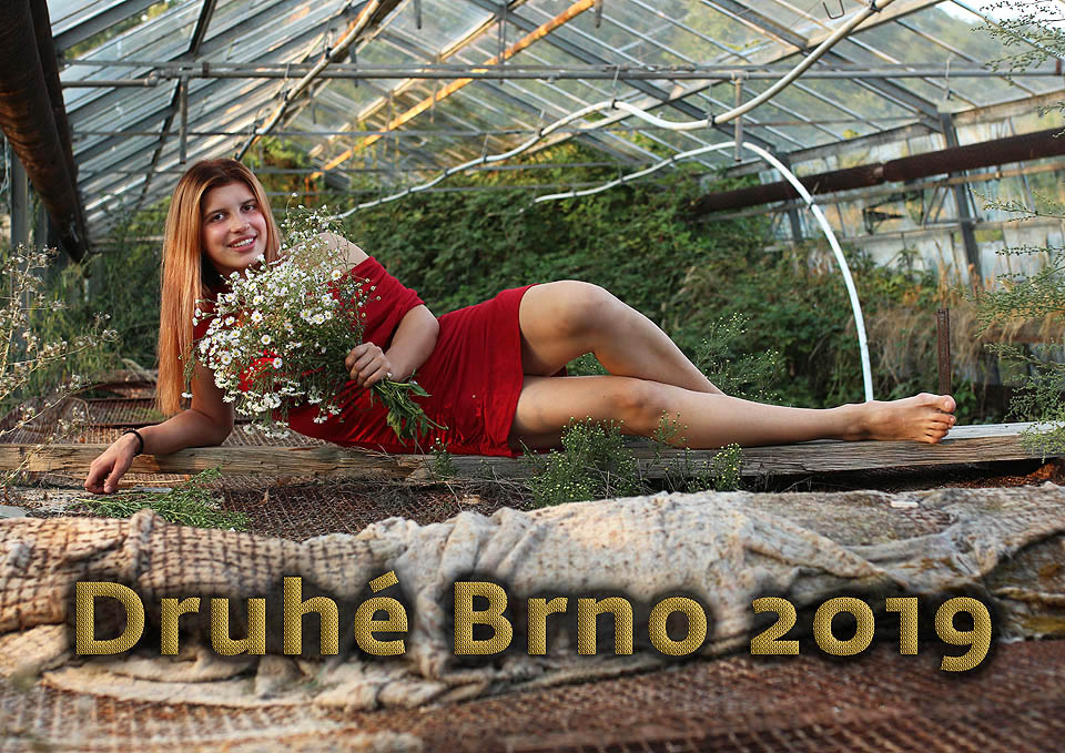 Kalendář formátu A3 obsahuje 12 celostránkových fotografií, titulní list a poslední stránku s přehledem všech měsíců.