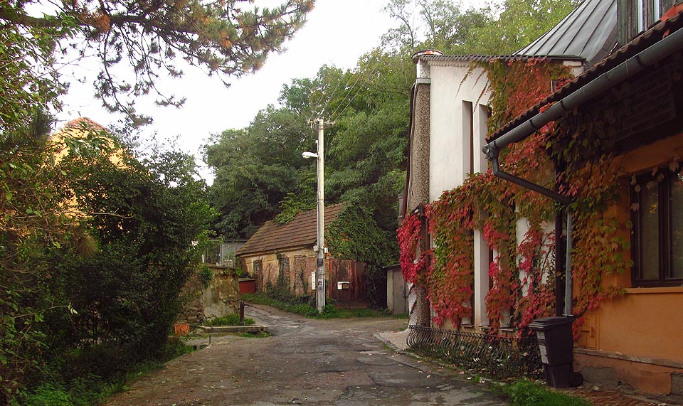 Podzim v Kamenné kolonii.