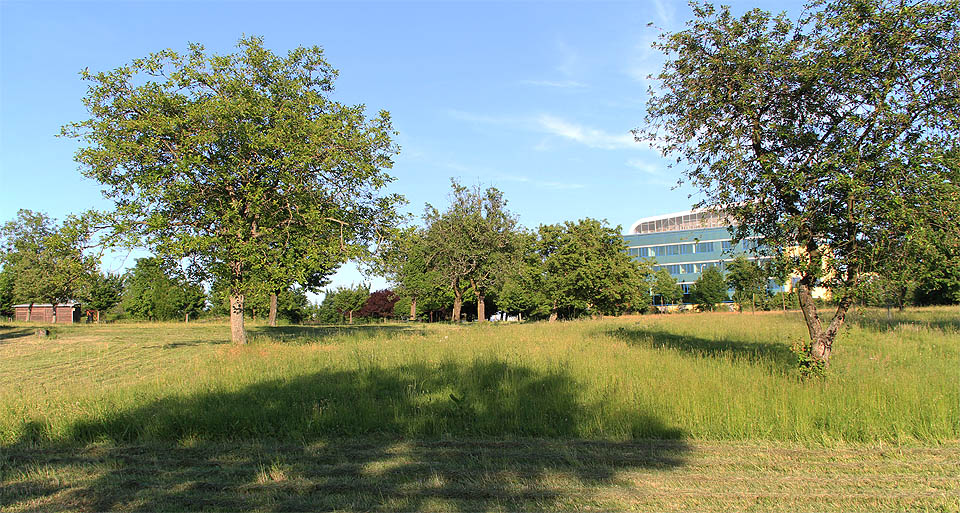 Vzdálené místo za domovem důchodců. Zhruba sem směřovala jediná ulice kolonie dřevěných domků Hamburk.