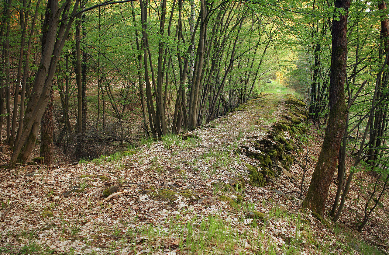 Pozůstatky dráhy lze nejlépe sledovat v původně nejzazším úseku, který jako jediný nebyl zastavěn ani dotčen přestavbou na <a href="/Tema/Železniční trať Praha–Chomutov">normálněrozchodnou železnici</a>. Na snímku je násep přes rokli na úbočí kopce Píně.