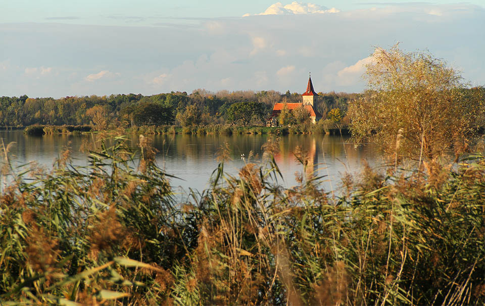 Kostel svatého Linharta neboli Leonarda laškovně vykukuje mezi rákosím.