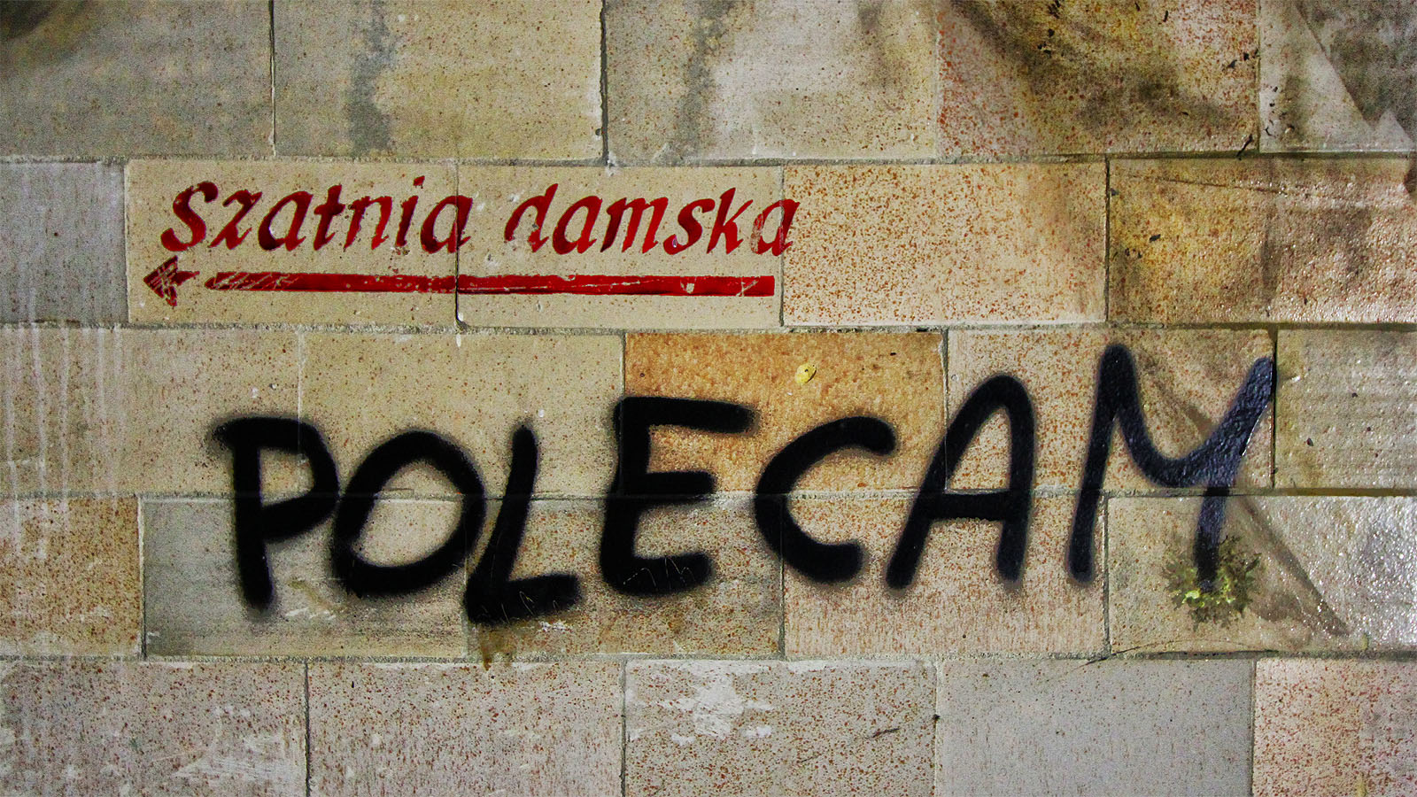 Dámská šatna. Doporučuji? Zdá se, že už dávno není proč. V rámci mnohaletého chátrání zakončeného sanací v roce 2013 postupně zmizel veškerý mobiliář, ale také většina obkladů, podhledů a rozvodů elektřiny i vody. Zbyla jen syrová kostra ohlodaná na beton a kámen, které vydrží po staletí.