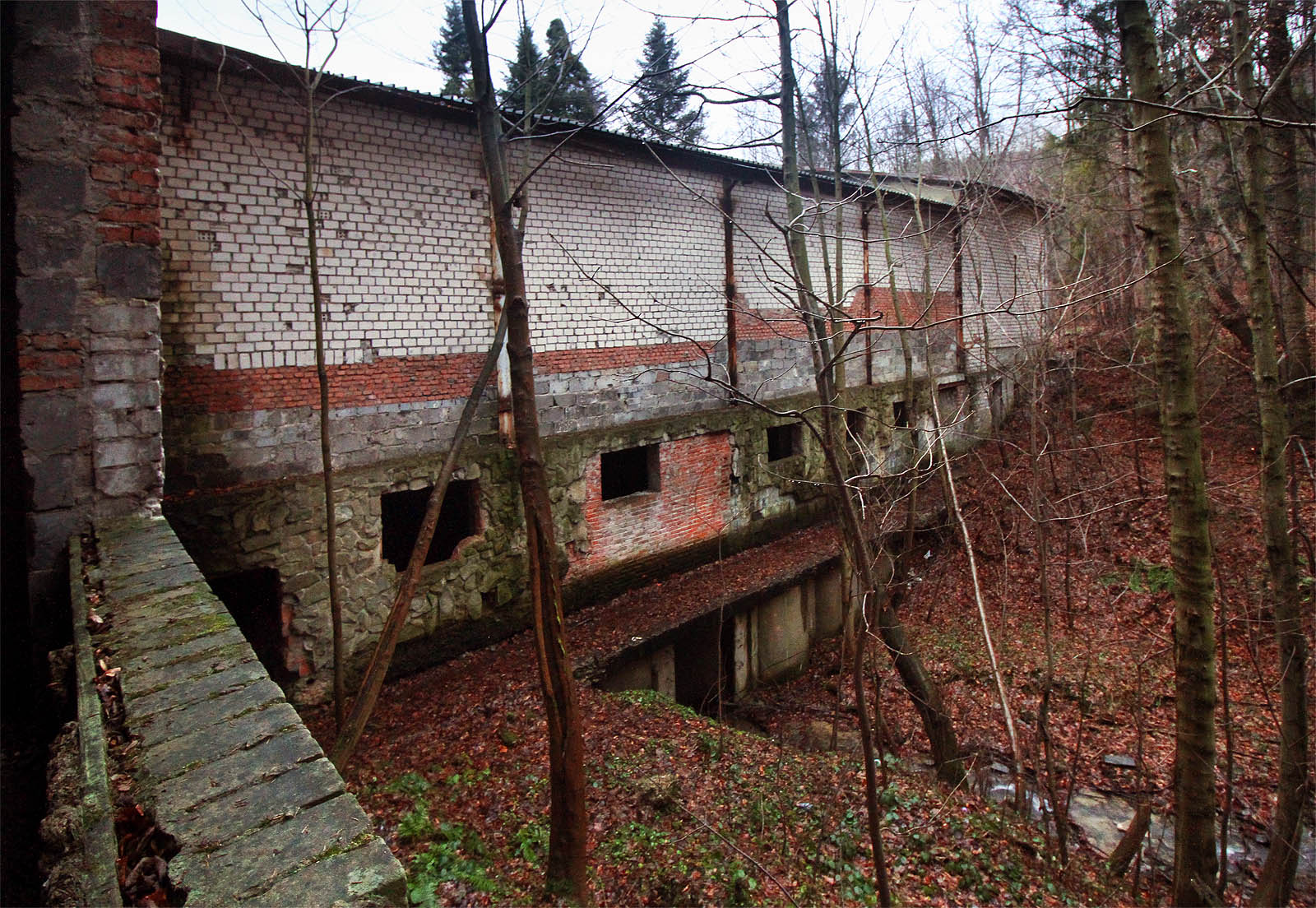 Také v horní části Kozubnika se setkáváme s oblíbeným motivem - nedostavěná (nejmladší) budova s tělocvičnou stojí rozkročená přes oba břehy údolí a levostranný přítok Puszczy protéká pod jejími základy.