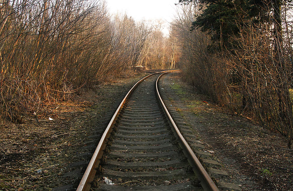 Spojovací kolej č. 905 se prodírá hustým křovím nad ústím <a href=/Tema/Tunel%20star%C3%A9%20Pon%C3%A1vky>tunelu staré Ponávky</a>, na místě bývalého rybníka, který byl vysušen před stavbou moderního nádraží.