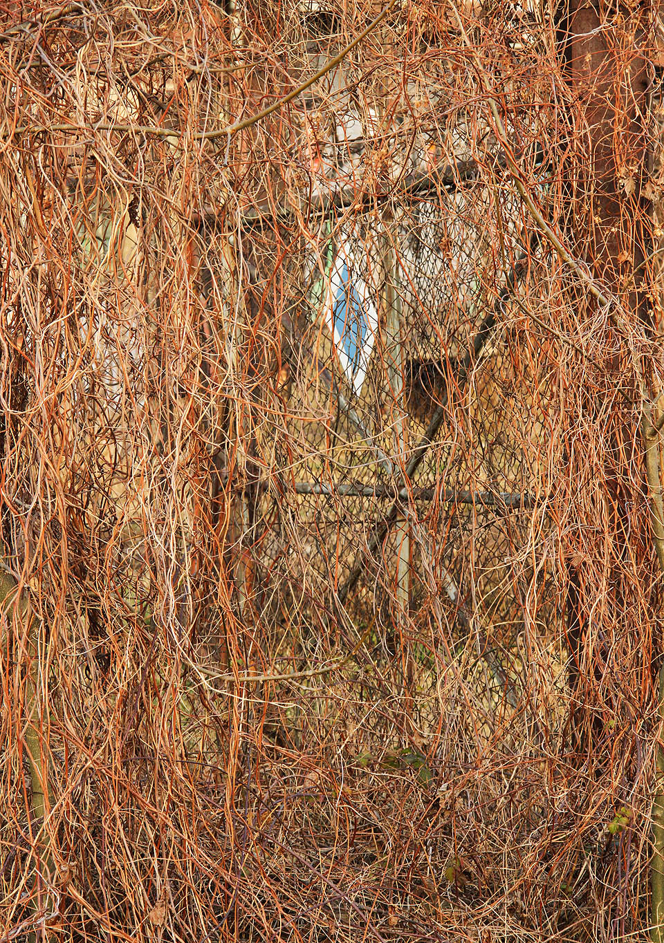 Bývalé královopolské nádraží je polouzavřeným světem blízkým a přesto odděleným od každodenní uspěchané reality. Možná se tu někde skrývá i železniční Šípková Růženka nebo aspoň výhybka s kolejí do Zababova.