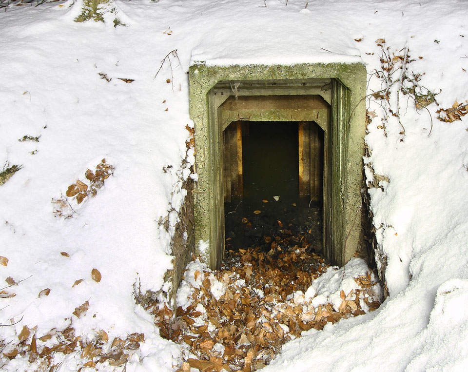 Nepříliš nápadný betonový vstup mezi stromy vypadá na první pohled docela slibně - přímo vyzývá k nakouknutí.