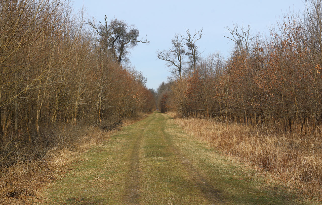 Šestikilometrový přímý úsek bývá dodnes na mapách označován názvem „Drážka“. Železnici tu ovšem zhola nic nepřipomíná.