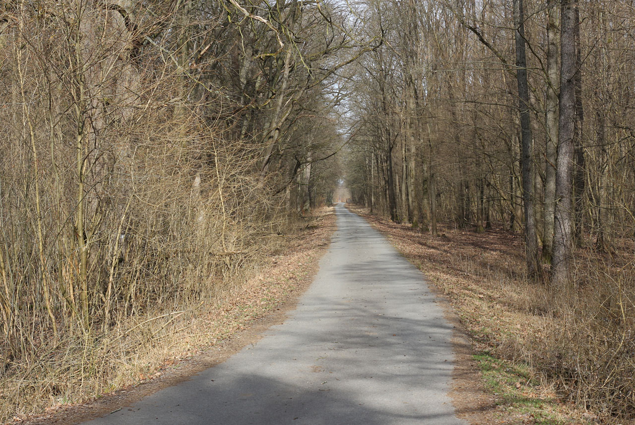 Úsek přes Barvínkův hrúd nijak nevybočuje z rámce standardních lesních asfaltek. A přesto tudy kdysi supěly závratnou rychlostí 20 km/h vlaky!