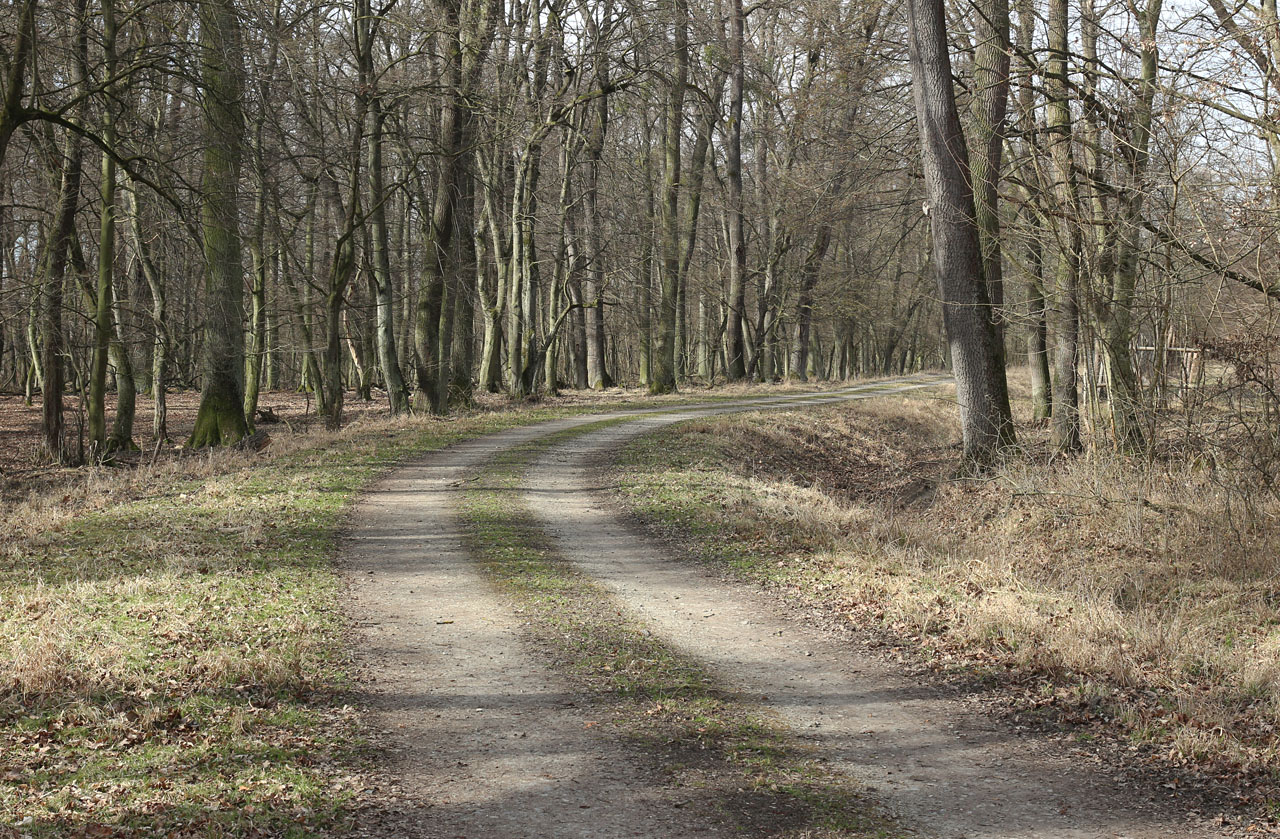 Hlavní větev úzkokolejky se od Veřejné cesty ostře lomila v úhlu 130° směrem k zámku Lány. Násep je rozšířen avšak dobře patrný.