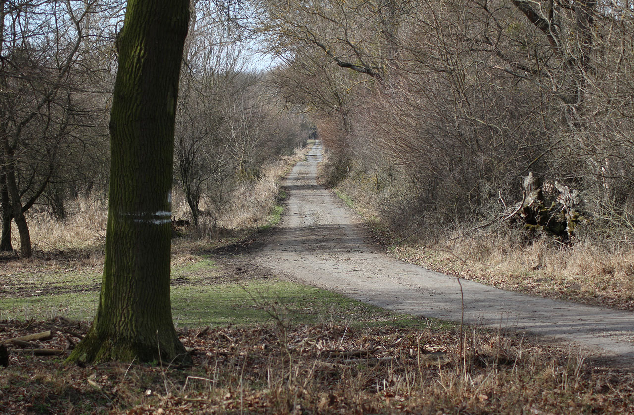 Úsek Veřejné cesty jižně od zámku Lány.