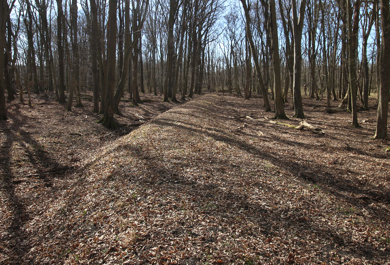 Násep mezi mostem přes kanál a mostem přes Kyjovku včetně dvou elegantně vykrojených protisměrných oblouků.