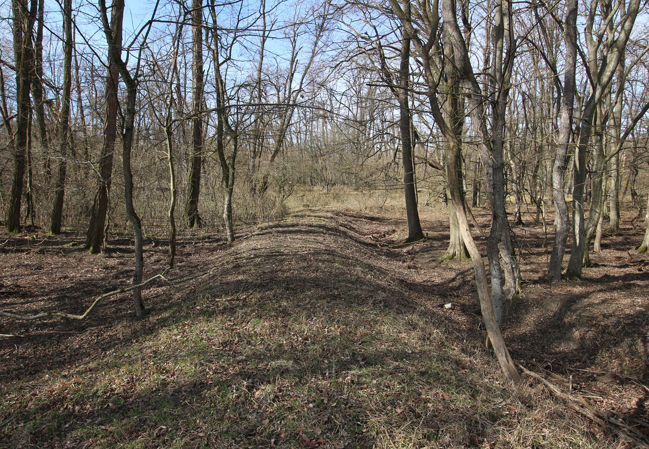 Pohled zpět na náspe mezi oběma mosty.