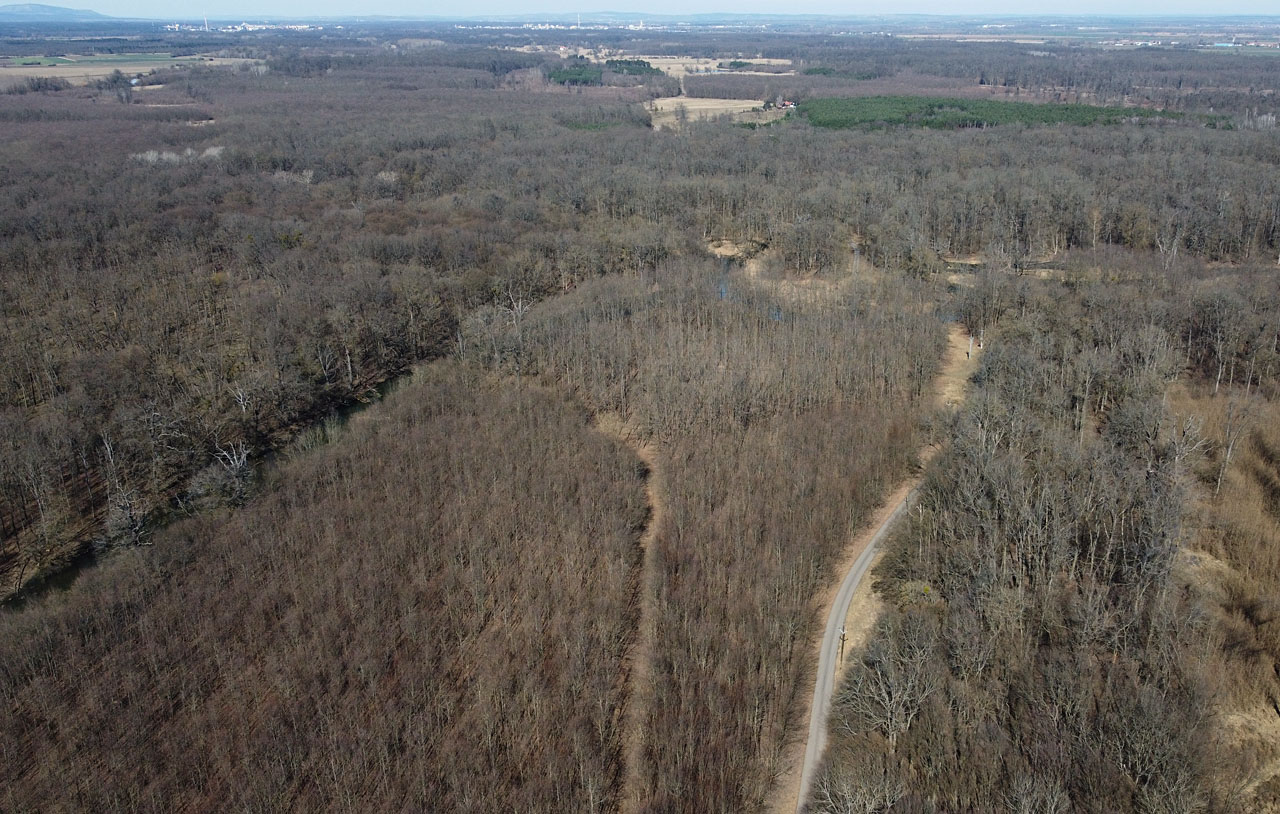 Drážka se zleva přimyká k lesní cestě.