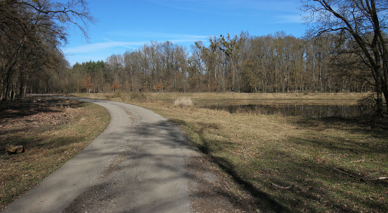 Vytěžená Dědova pískovna vznikla určitě až po roce 1962. Předtím se u Dědovy louky nacházelo malé nákladiště s několika kolejemi.